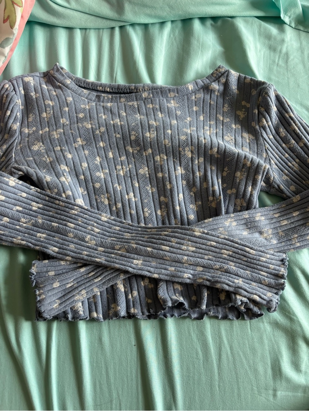 Aeropostale Light Blue Ribbed Floral Long-Sleeve Crop Top